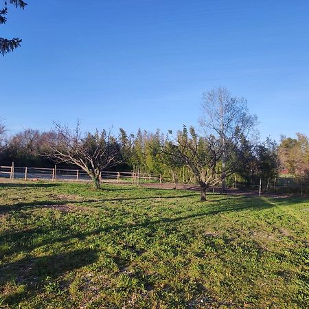 Maison A La Campagne Bouchet  Kültér fotó