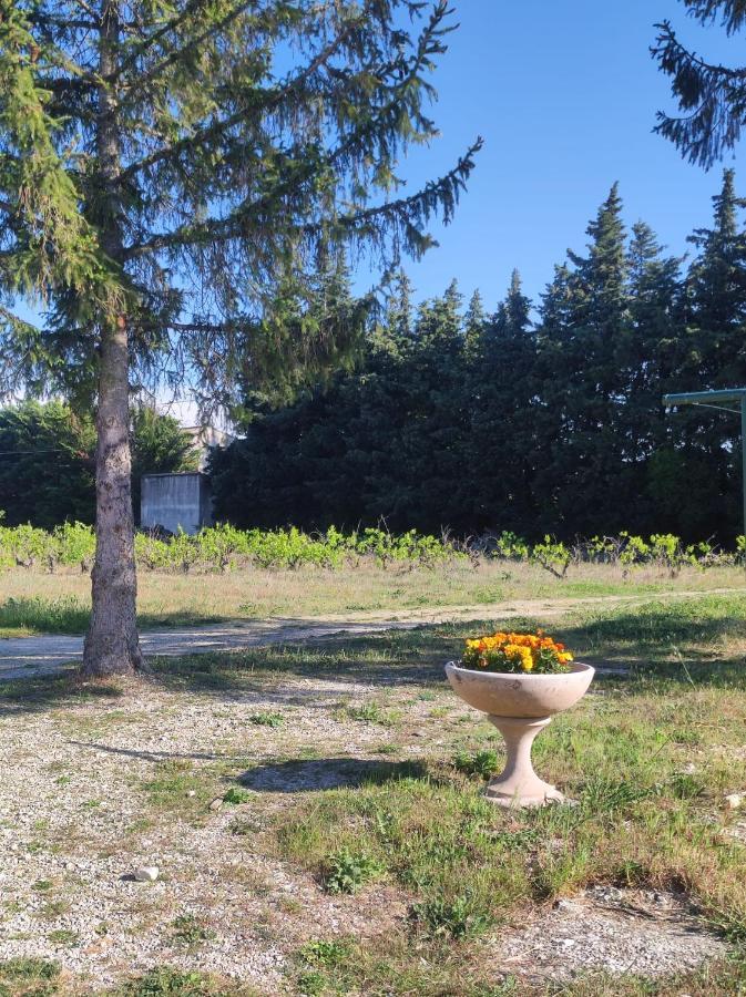 Maison A La Campagne Bouchet  Kültér fotó