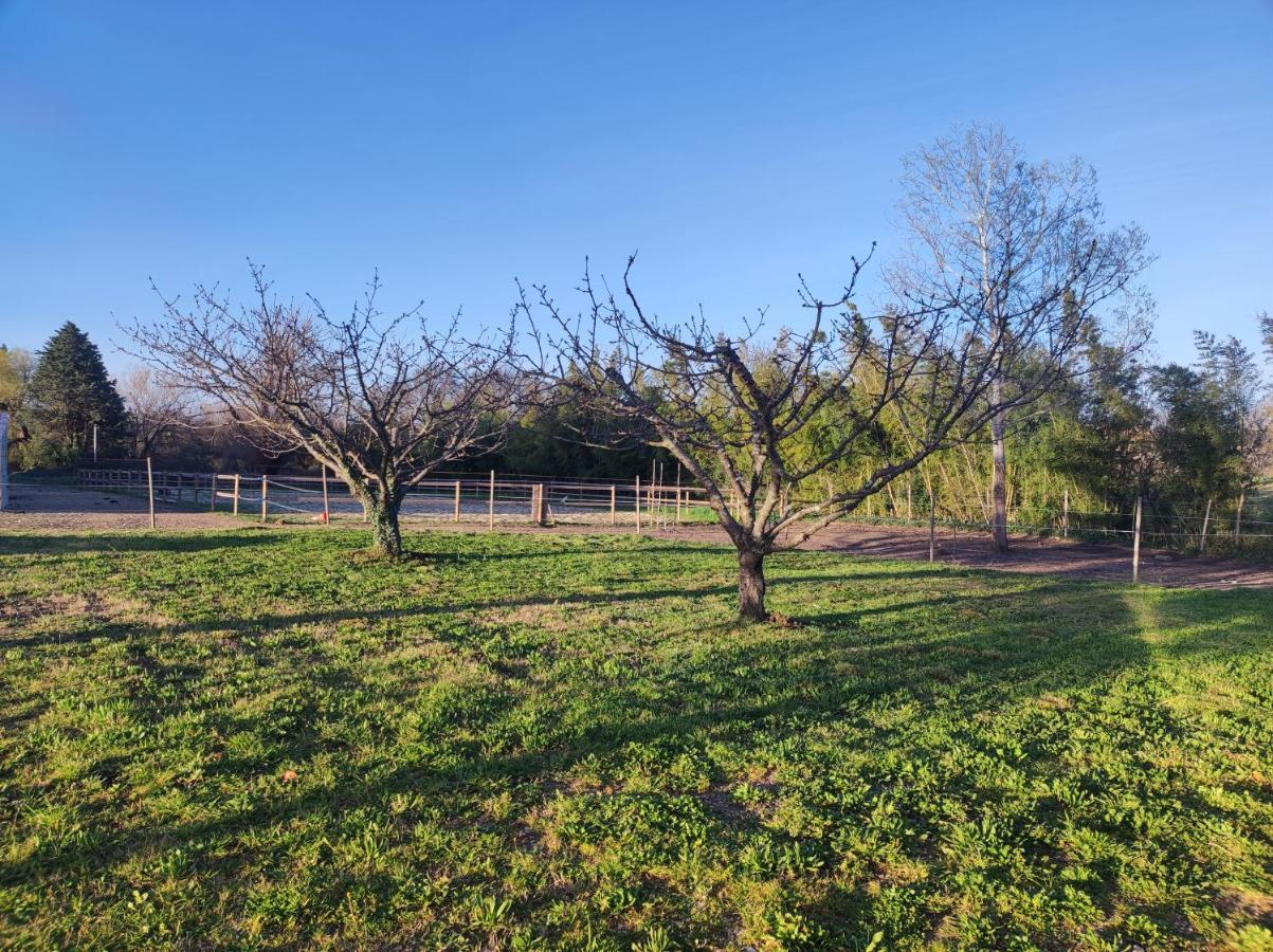 Maison A La Campagne Bouchet  Kültér fotó